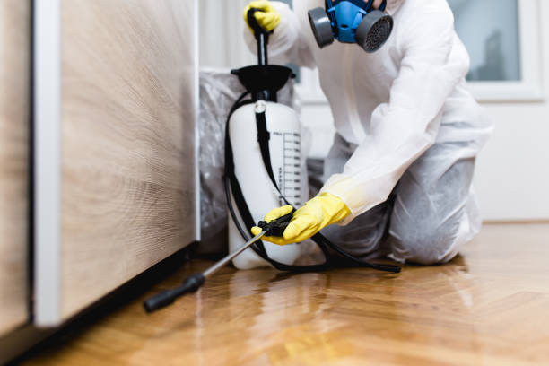 Best Emergency Pest Control  in Lauderdale Lakes, WI