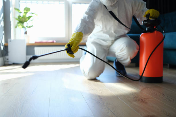 Flea Control Services in Lauderdale Lakes, WI