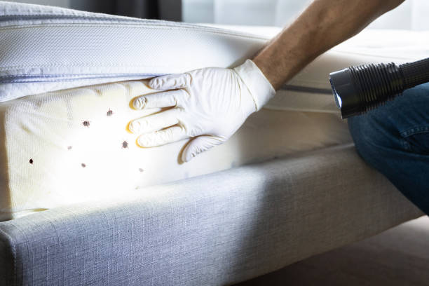 Best Mosquito Control Services  in Lauderdale Lakes, WI