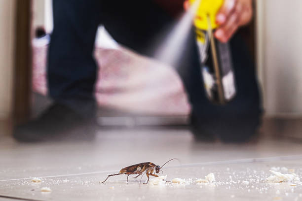 Best Commercial Pest Control Services  in Lauderdale Lakes, WI