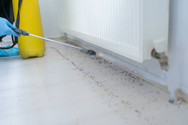 Trusted Lauderdale Lakes, WI Pest Control Experts