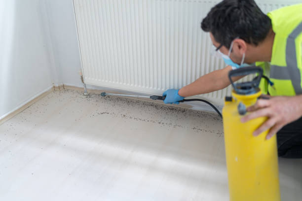 Best Ant Control Services  in Lauderdale Lakes, WI