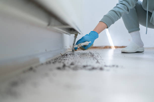 Best Exterminator Services  in Lauderdale Lakes, WI