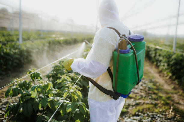 Best Best Pest Control Companies  in Lauderdale Lakes, WI